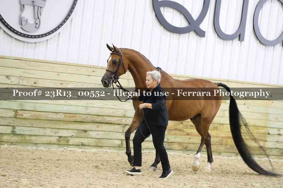 Proof 23R13_00552