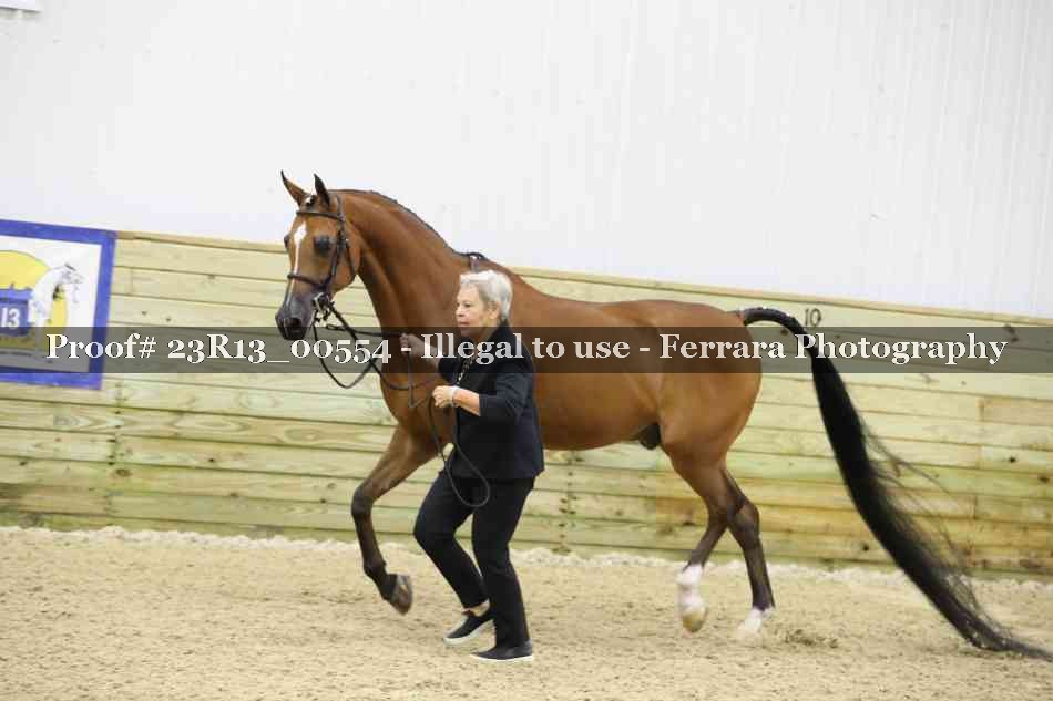 Proof 23R13_00554