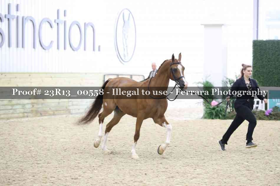 Proof 23R13_00558