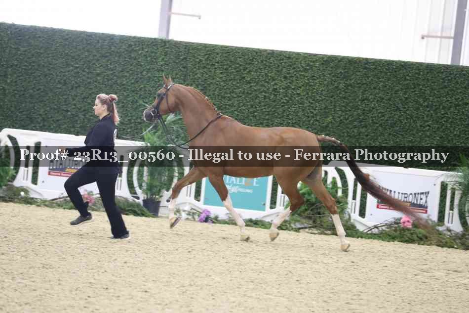 Proof 23R13_00560