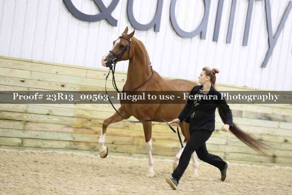 Proof 23R13_00563
