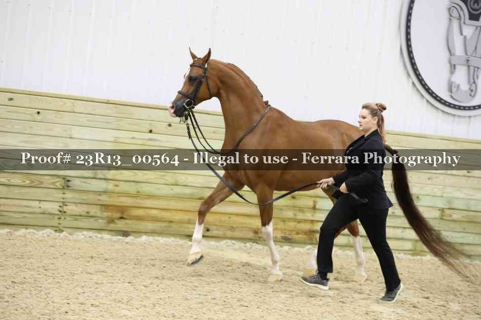 Proof 23R13_00564