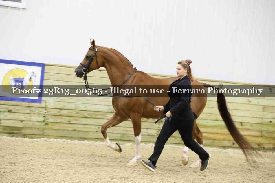Proof 23R13_00565