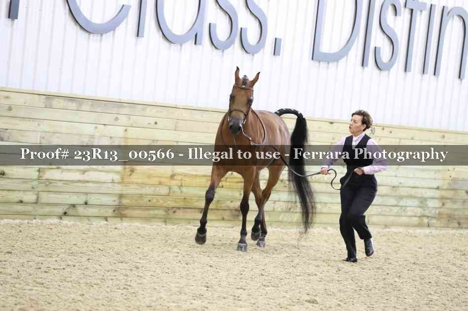 Proof 23R13_00566
