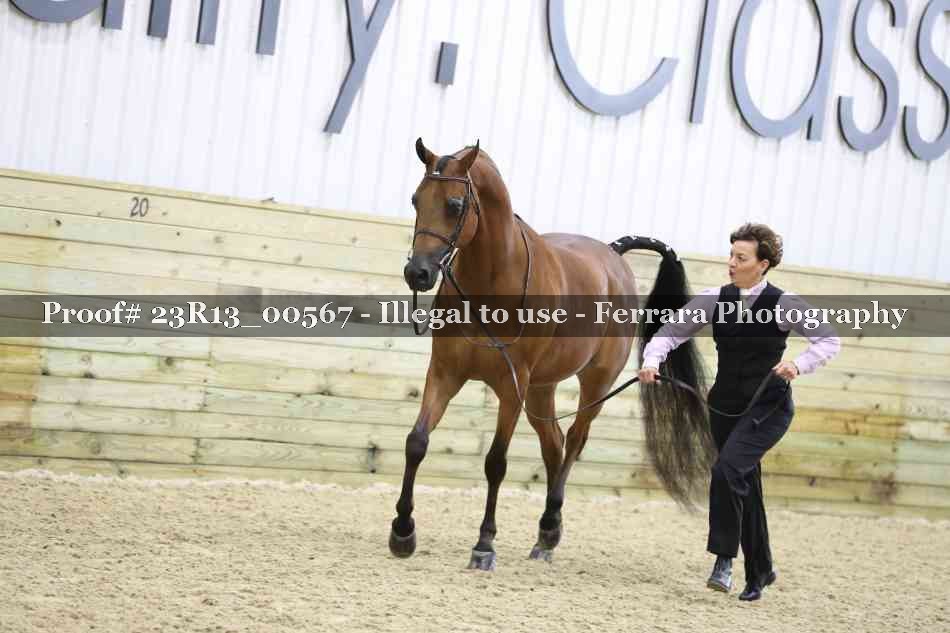 Proof 23R13_00567