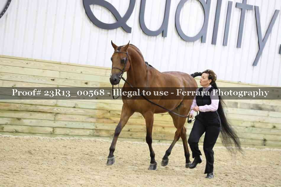Proof 23R13_00568