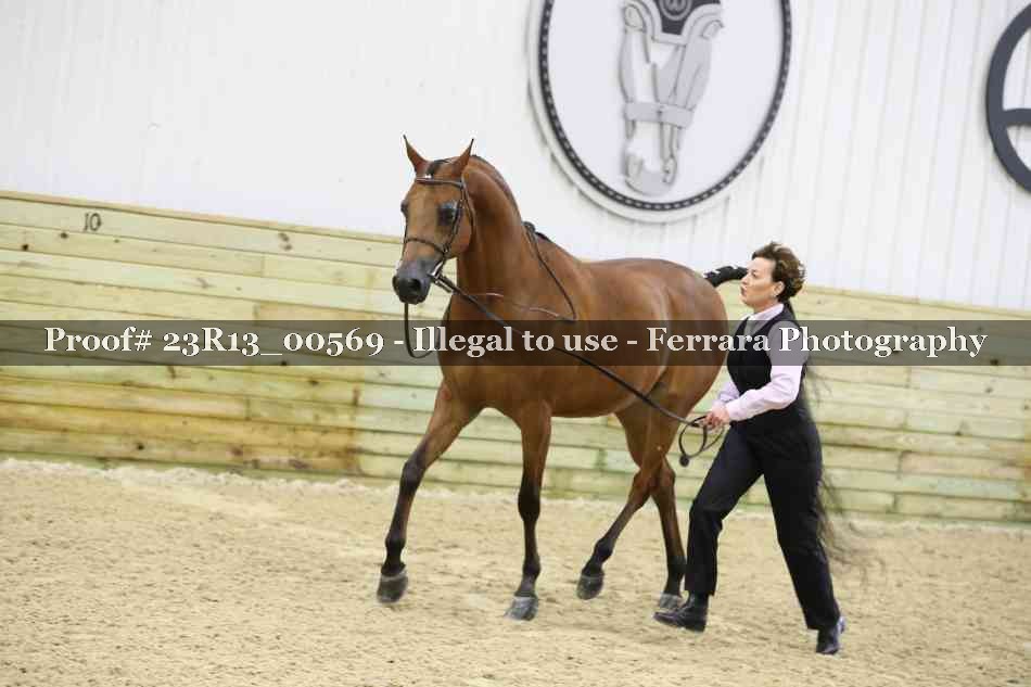 Proof 23R13_00569