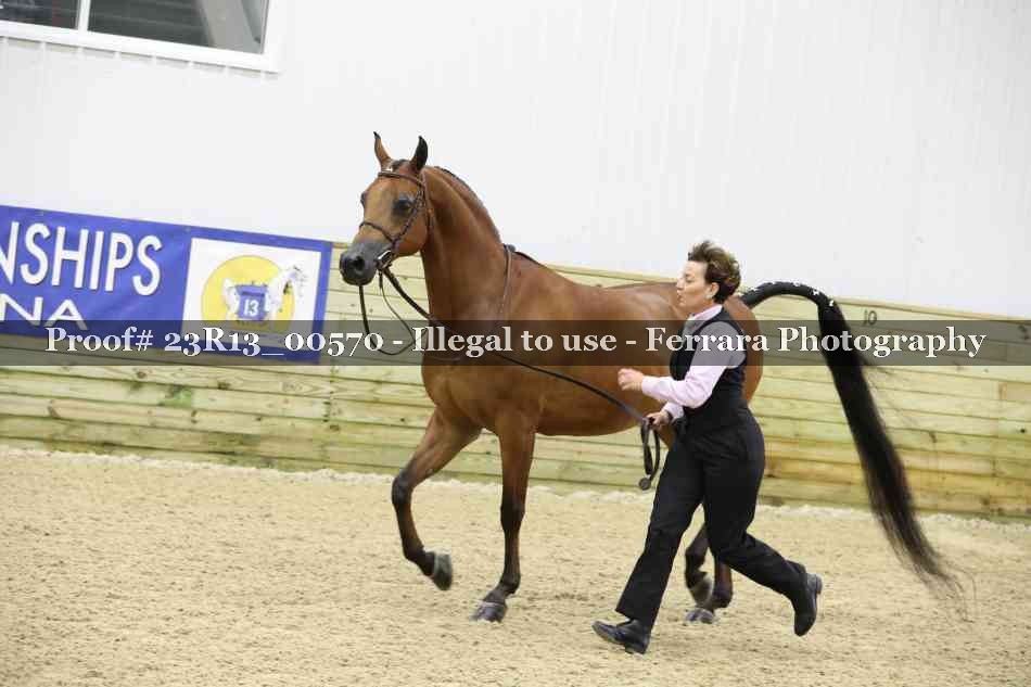 Proof 23R13_00570