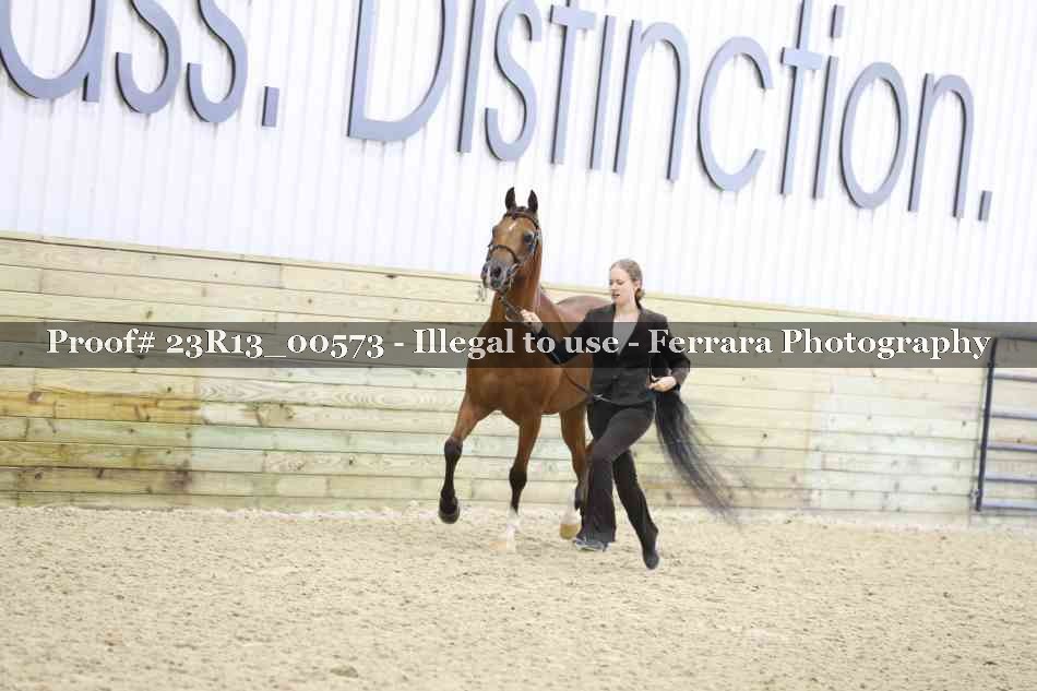 Proof 23R13_00573