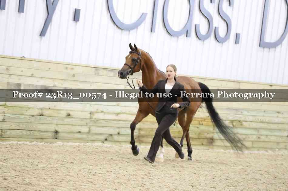 Proof 23R13_00574