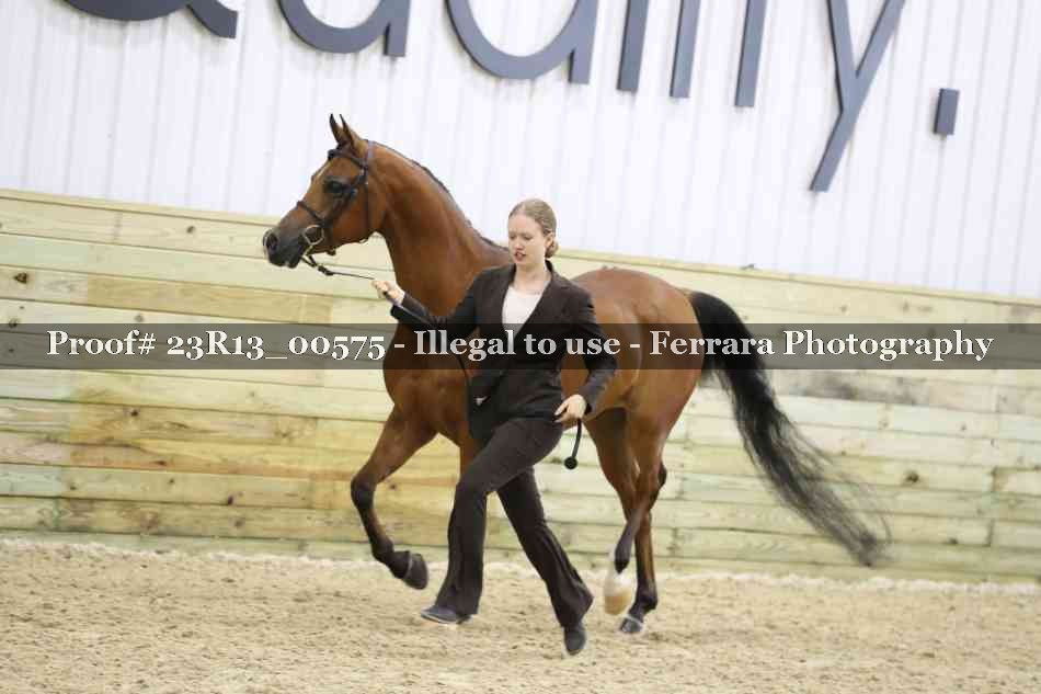 Proof 23R13_00575