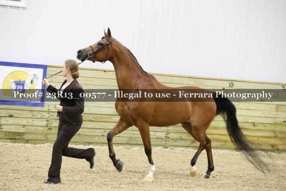 Proof 23R13_00577