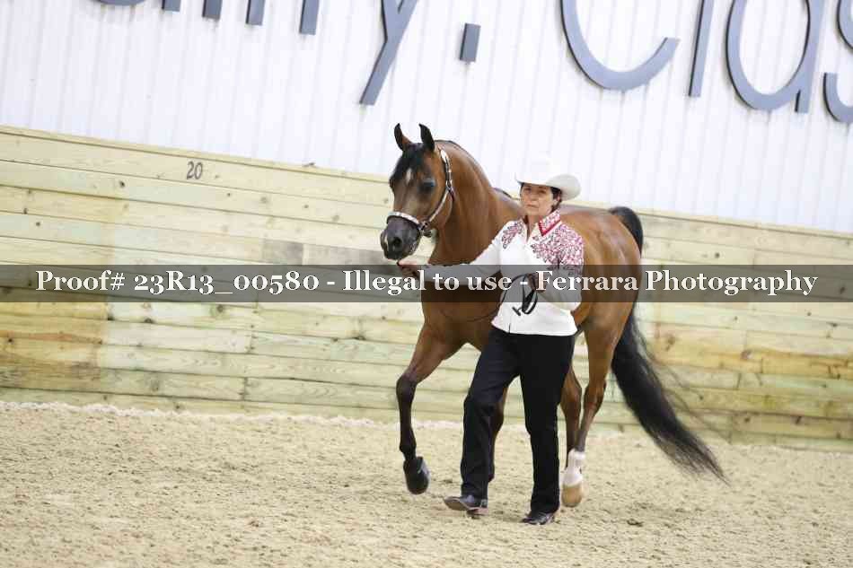 Proof 23R13_00580