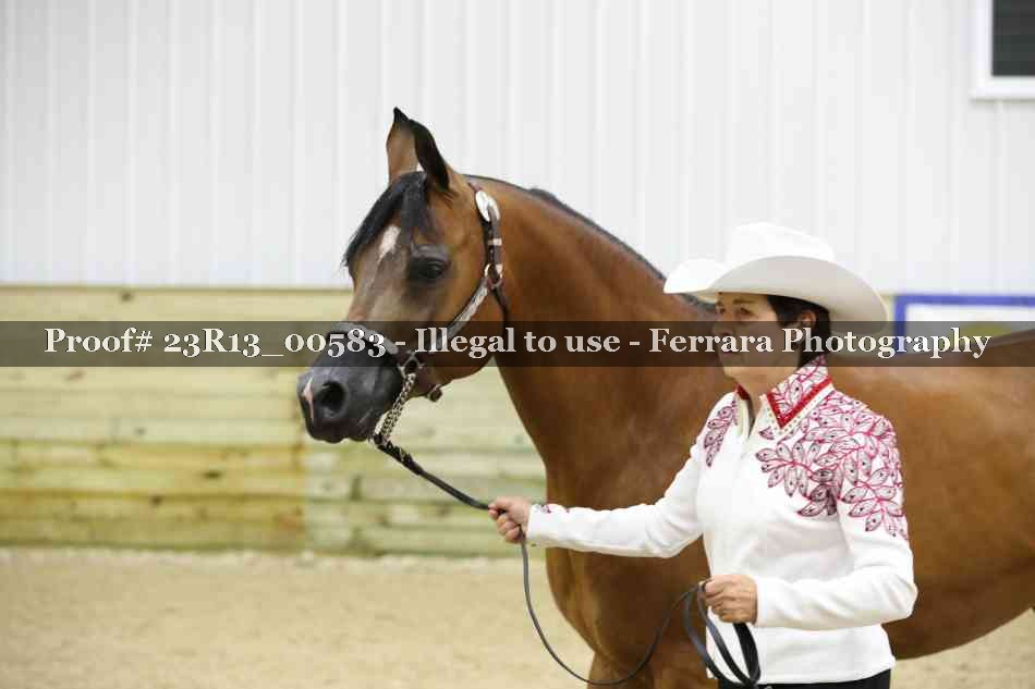 Proof 23R13_00583