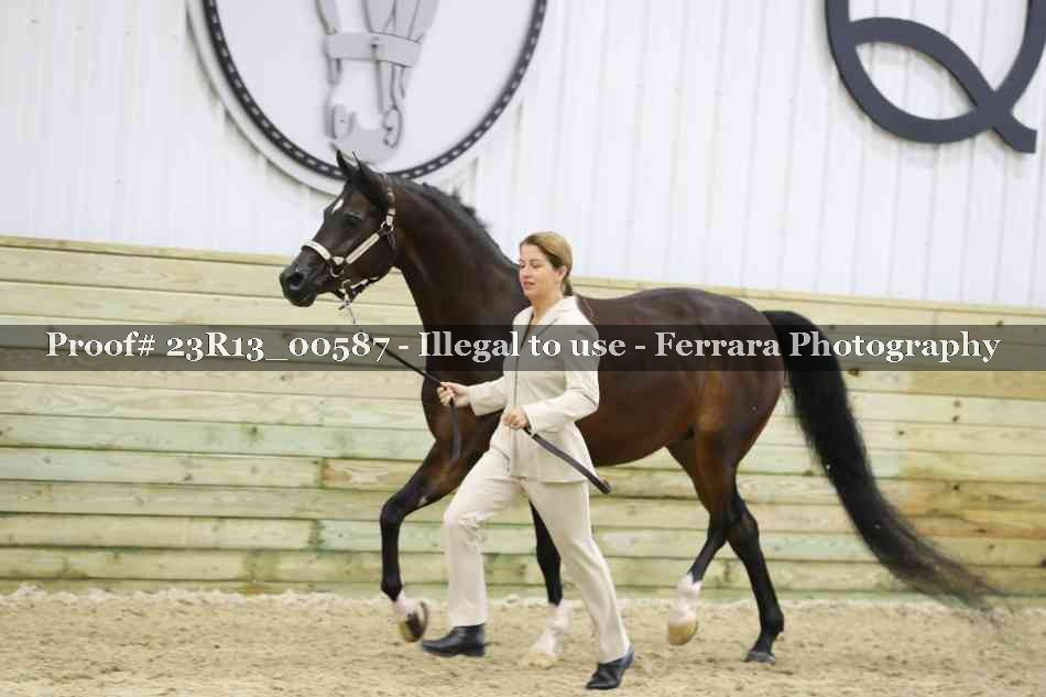 Proof 23R13_00587