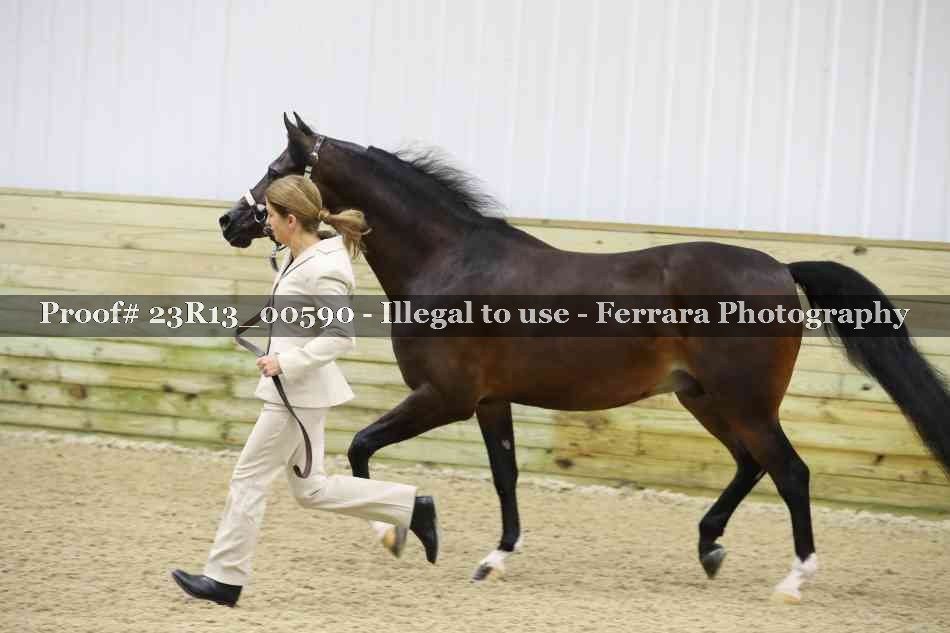 Proof 23R13_00590