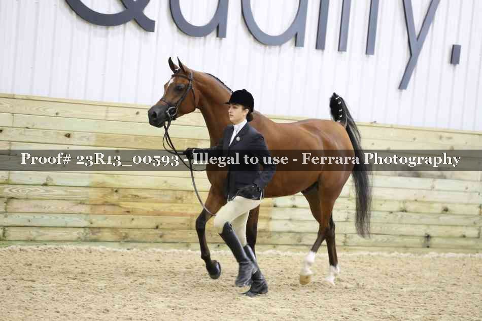 Proof 23R13_00593