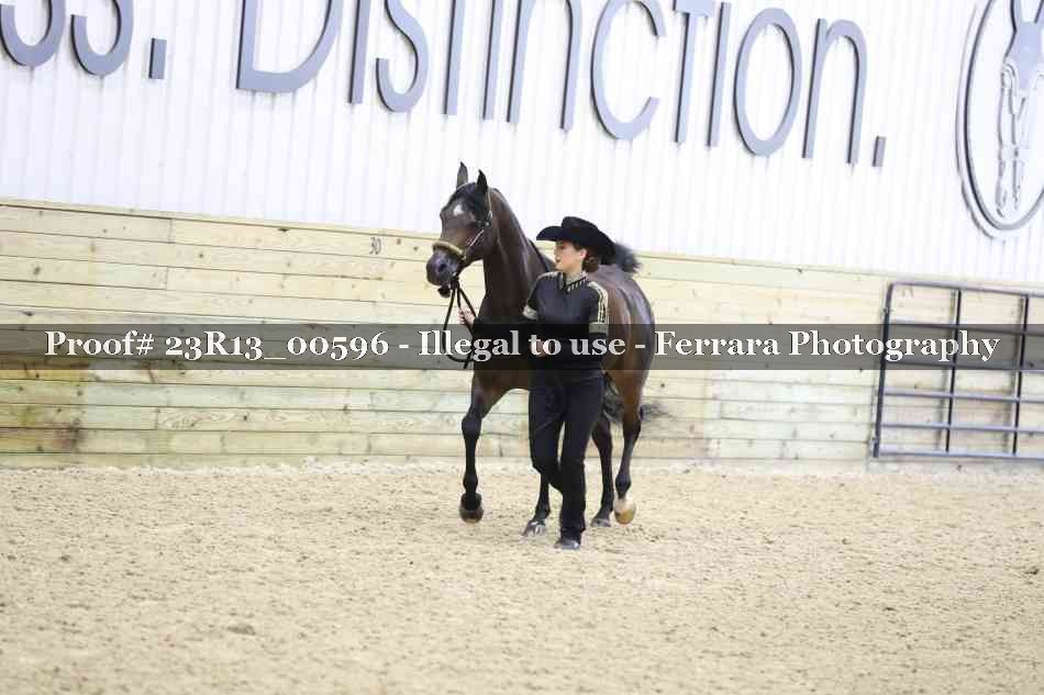 Proof 23R13_00596