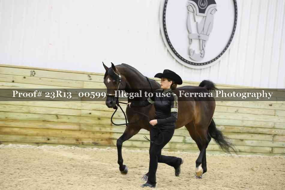 Proof 23R13_00599