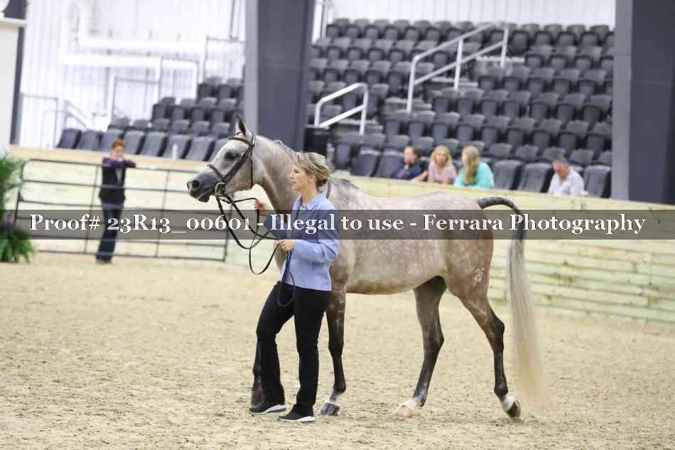 Proof 23R13_00601