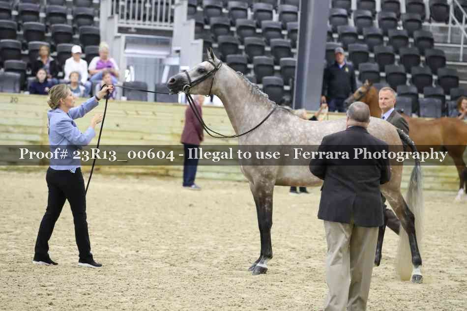 Proof 23R13_00604