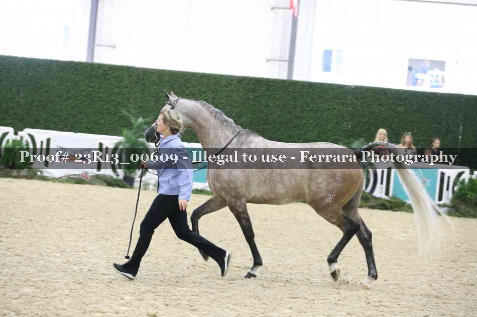 Proof 23R13_00609