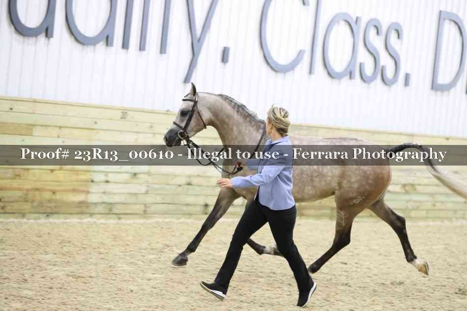 Proof 23R13_00610
