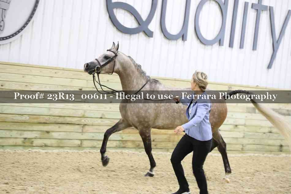 Proof 23R13_00611