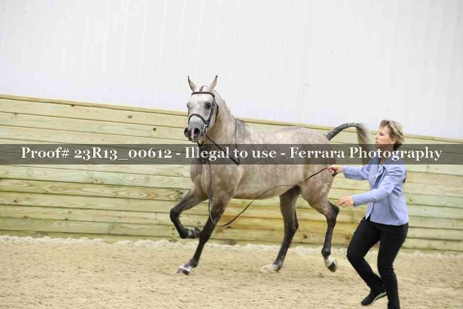 Proof 23R13_00612