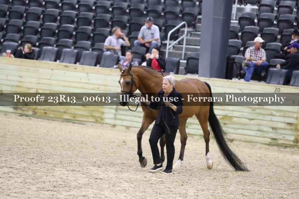 Proof 23R13_00613