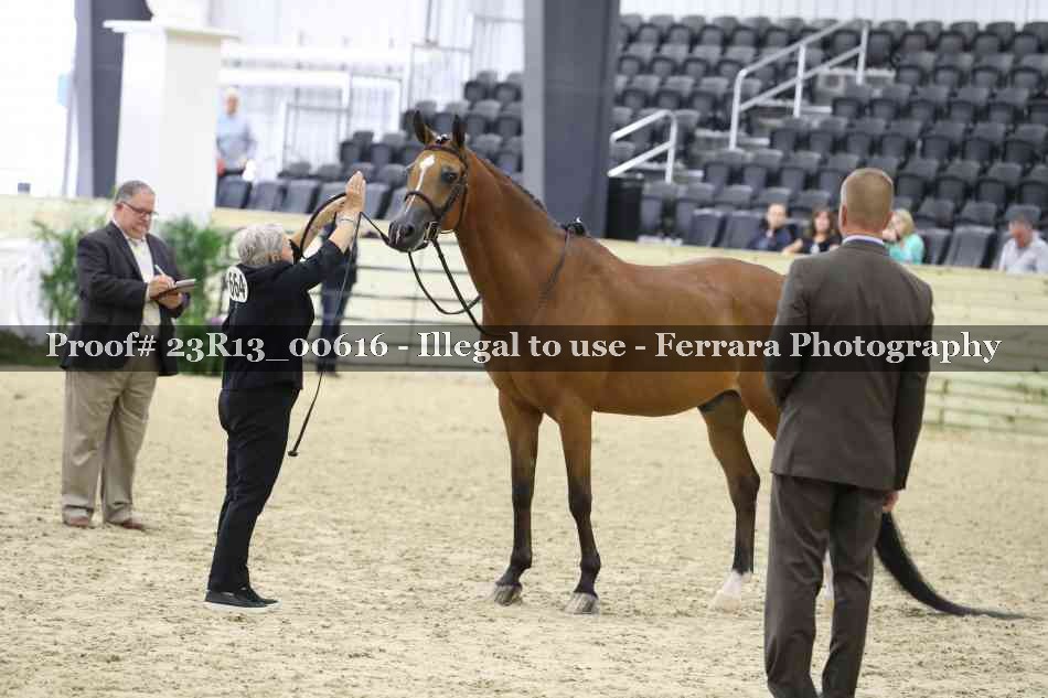 Proof 23R13_00616