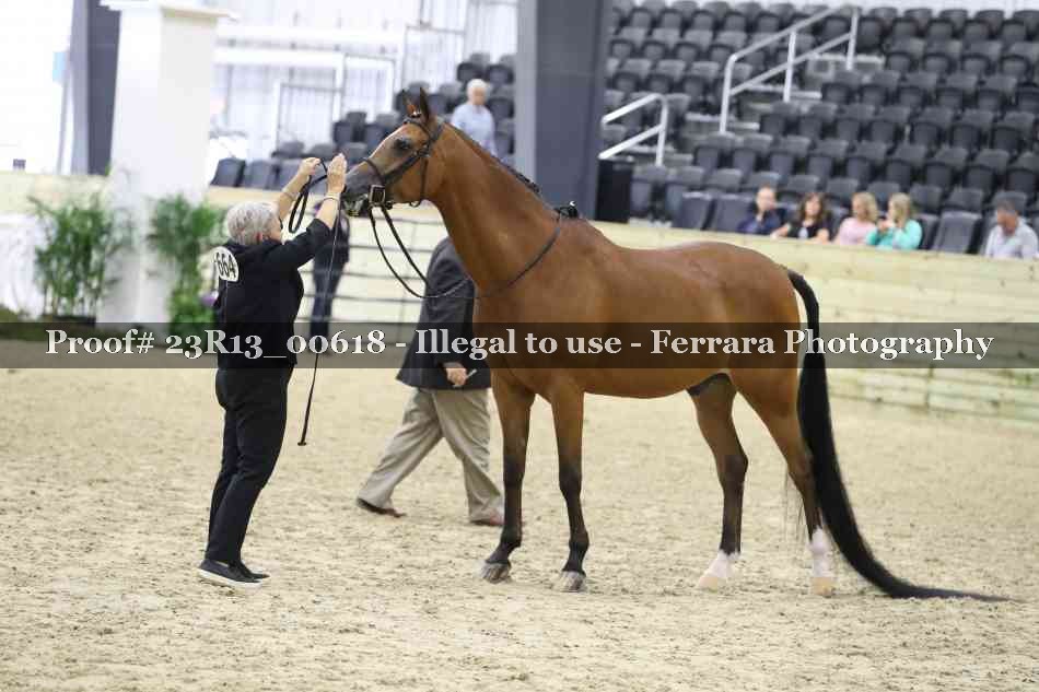 Proof 23R13_00618