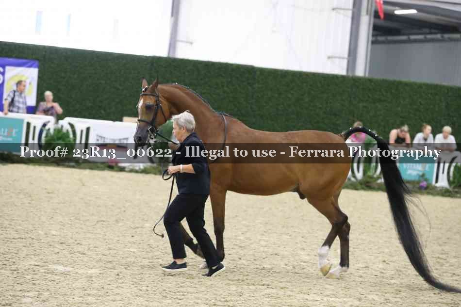 Proof 23R13_00622