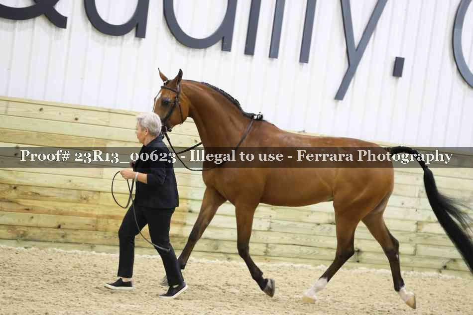 Proof 23R13_00623