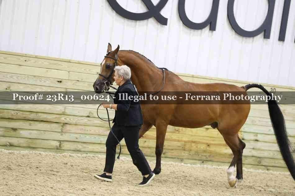 Proof 23R13_00624