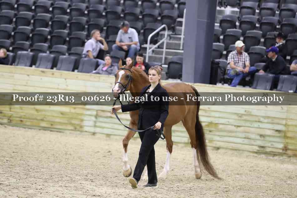 Proof 23R13_00626