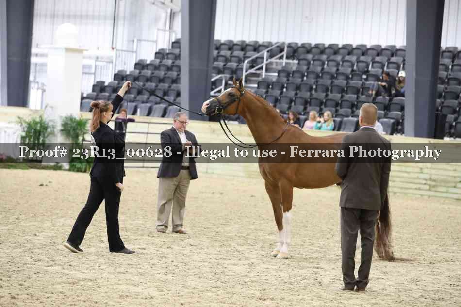 Proof 23R13_00628
