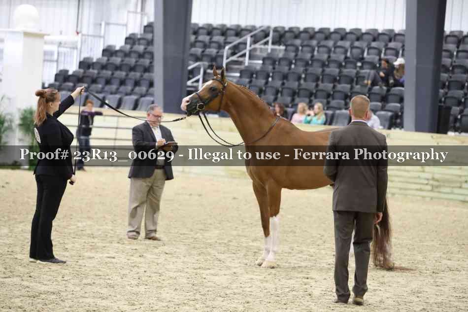 Proof 23R13_00629