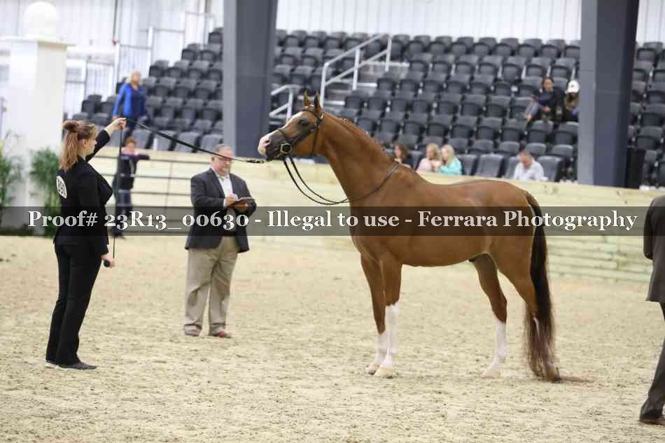 Proof 23R13_00630