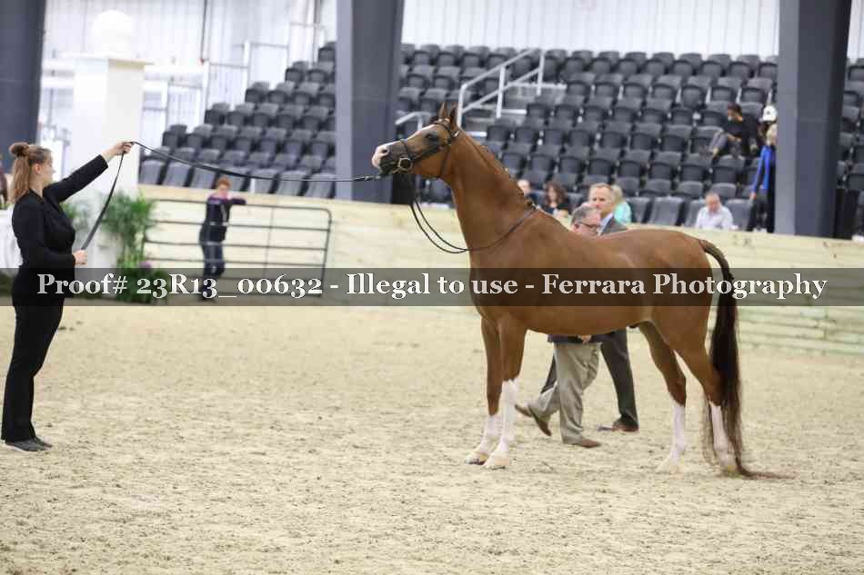 Proof 23R13_00632