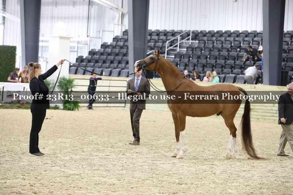 Proof 23R13_00633