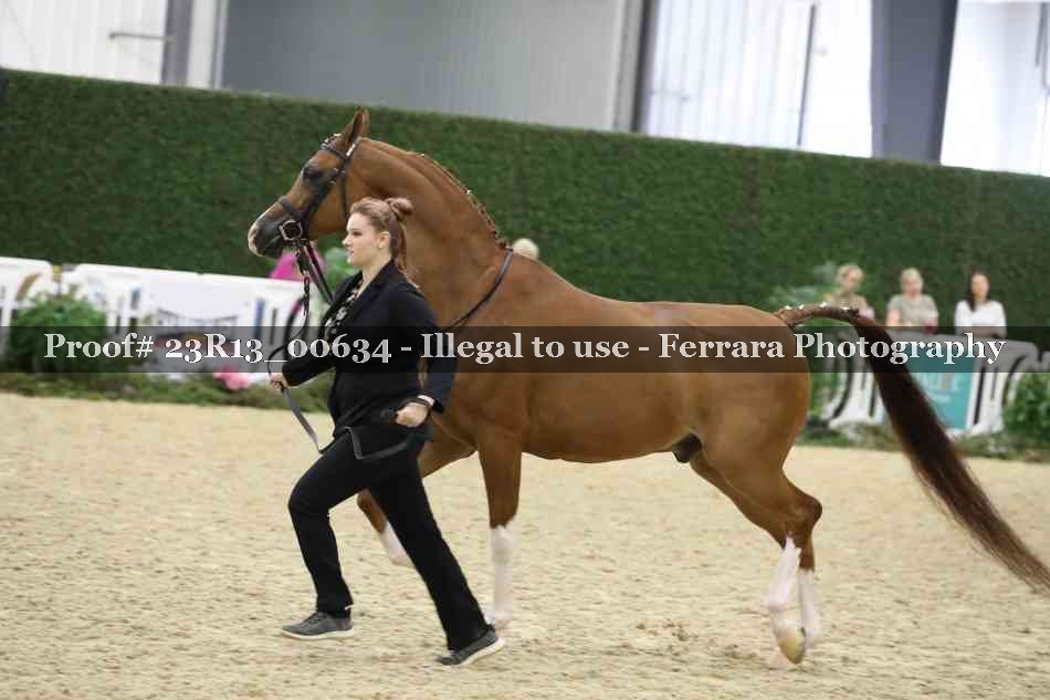 Proof 23R13_00634