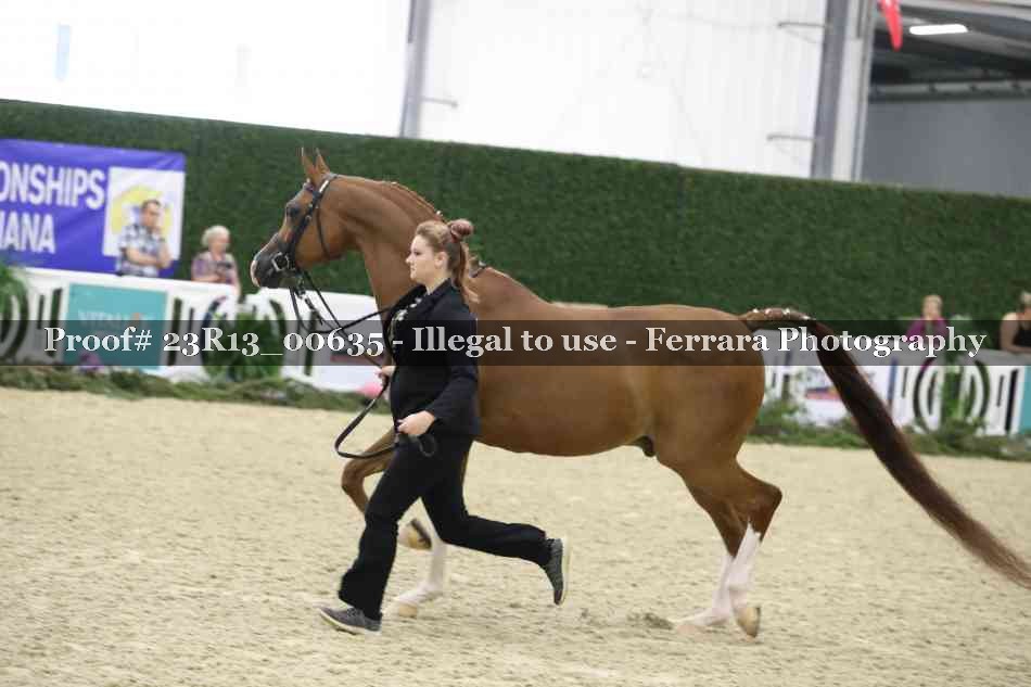 Proof 23R13_00635