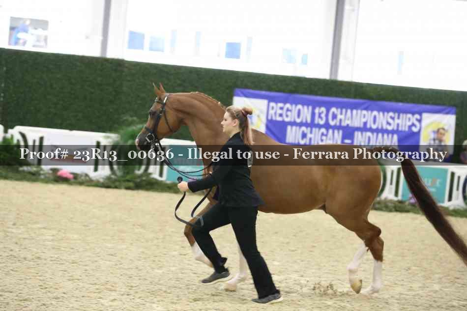 Proof 23R13_00636