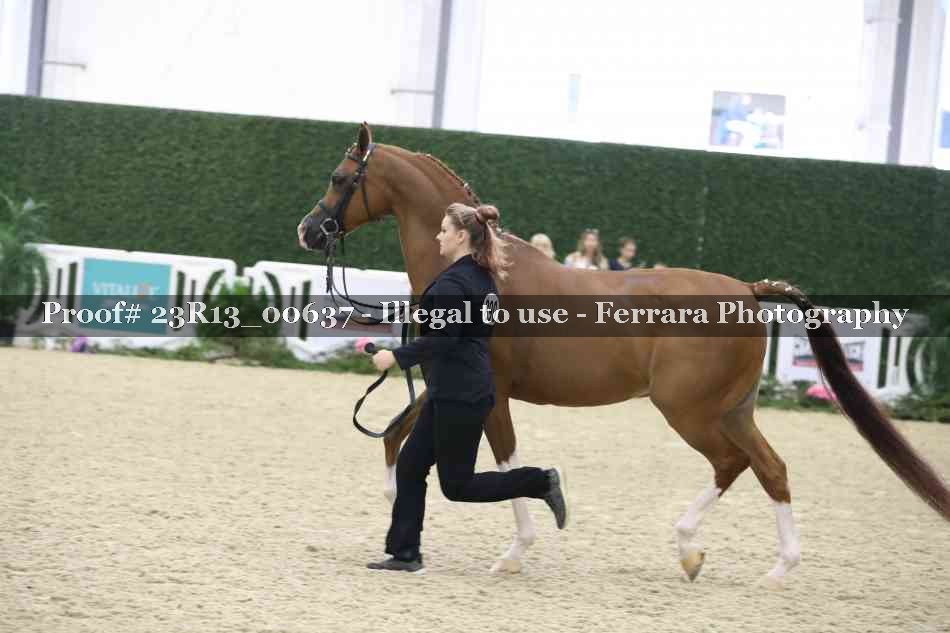 Proof 23R13_00637