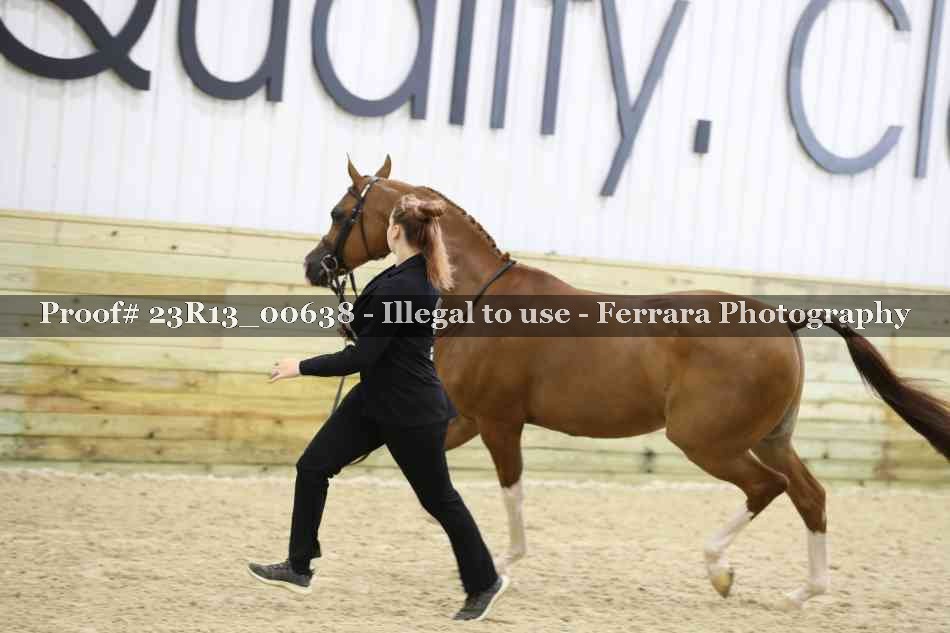 Proof 23R13_00638