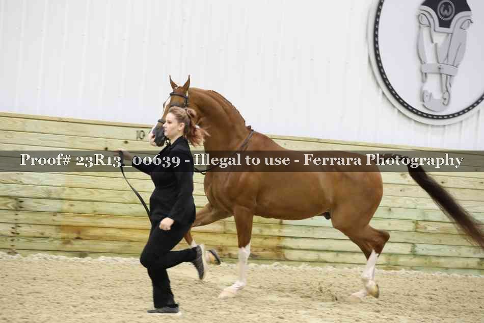 Proof 23R13_00639