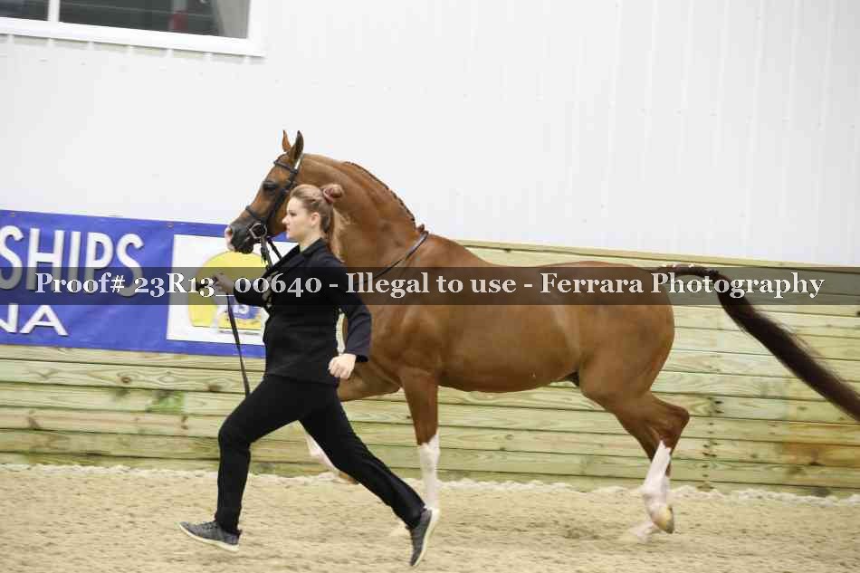 Proof 23R13_00640
