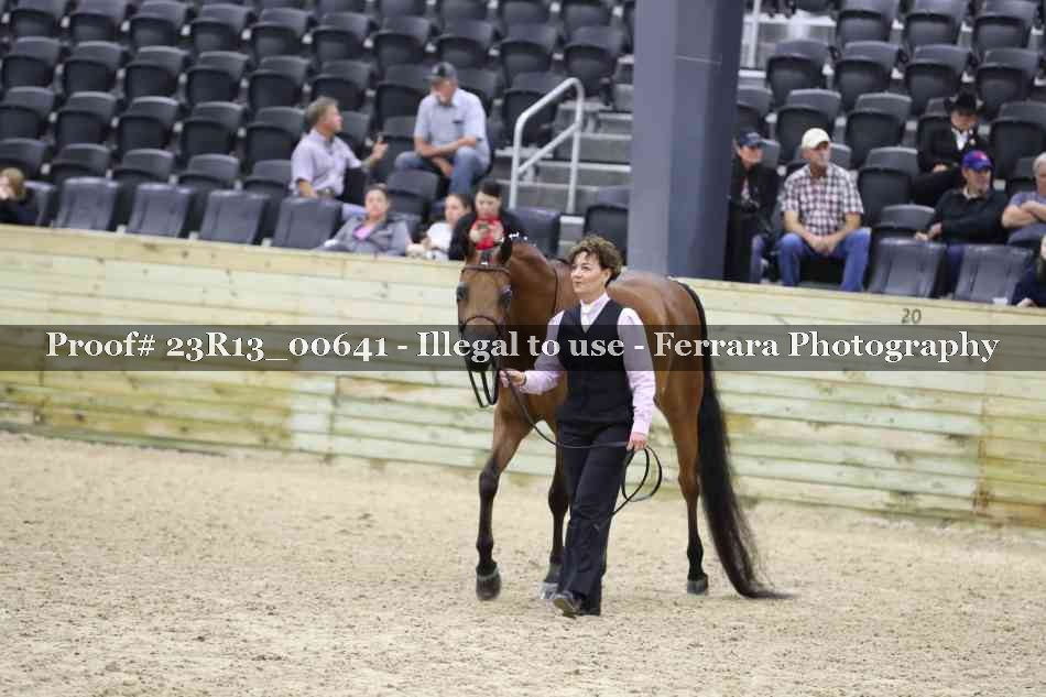 Proof 23R13_00641