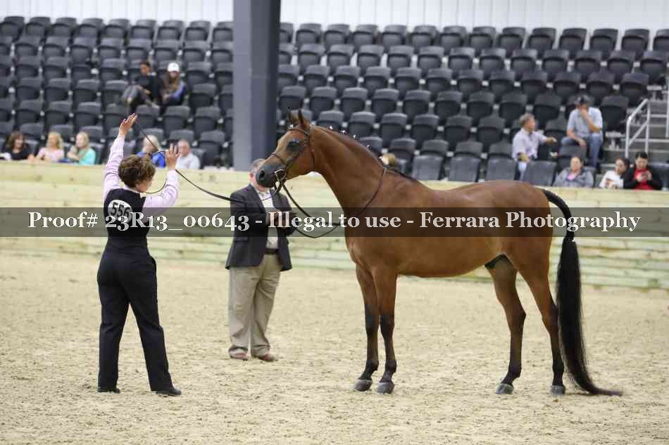 Proof 23R13_00643